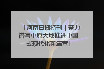 河南日报特刊｜奋力谱写中原大地推进中国式现代化新篇章